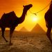 Egypt