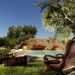 bozonos_villa_img_0204.jpg